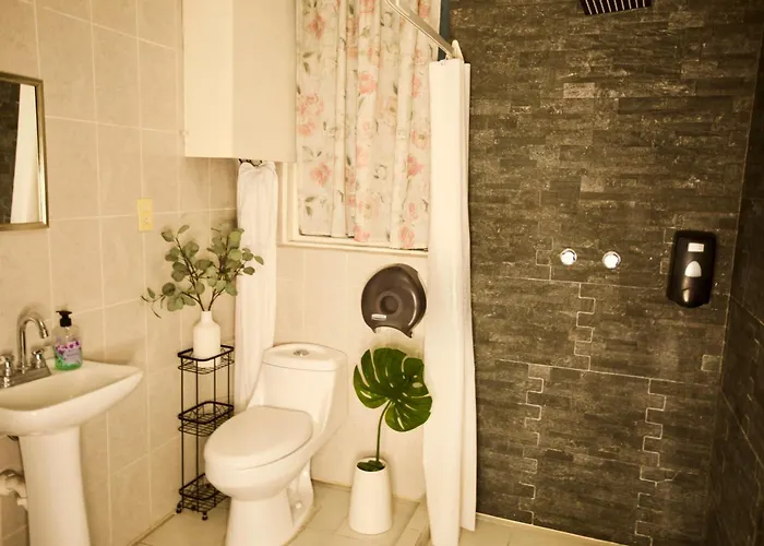 Habitación En Condesa Morada Luna 3